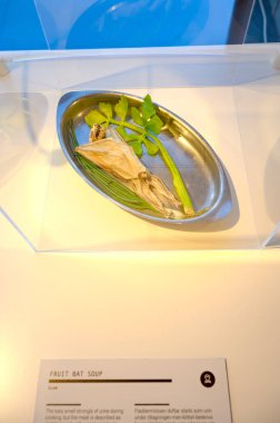İğrenç Yemek Müzesi 'nde sergi Malmö İsveç 22.03.2025. Yüksek kalite fotoğraf