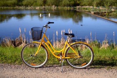 Göl veya göl kenarında güzel sarı bir bisiklet. Bahar ya da yaz doğası, Lund, Skane, İsveç 2025. Yüksek kalite fotoğraf