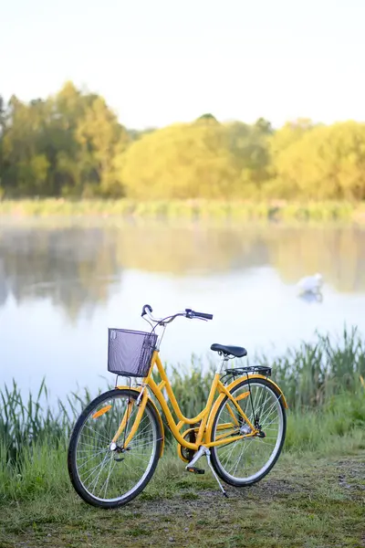 Gölün yanında güzel sarı bir bisiklet ya da sisli, buharlı bir göl. Bahar ya da yaz doğası, Lund, Skane, İsveç 2025. Yüksek kalite fotoğraf