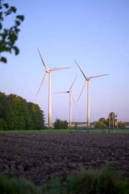 Rüzgar türbinleri, doğa ağaçları ve saha fotokopi alanı olan güzel bir yaz manzarası. Yüksek kalite fotoğraf