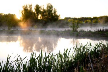 Gölde ya da gölde gün doğumu ya da gün batımı. Sis ya da su buharı. Lund İsveç. Yüksek kalite fotoğraf