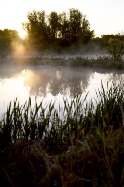 Gölde ya da gölde gün doğumu ya da gün batımı. Sis ya da su buharı. Lund İsveç. Yüksek kalite fotoğraf