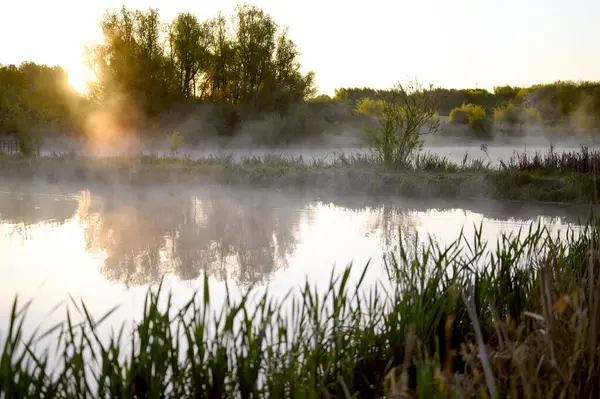 Gölde ya da gölde gün doğumu ya da gün batımı. Sis ya da su buharı. Lund İsveç. Yüksek kalite fotoğraf
