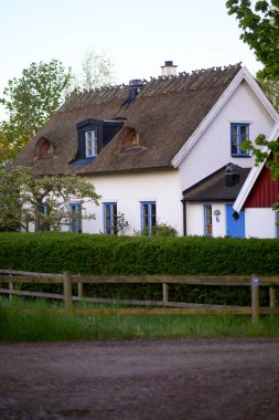 Çiftlikte sazdan çatılı geleneksel köy evi. Lund Skane İsveç. - Evet. Yüksek kalite fotoğraf