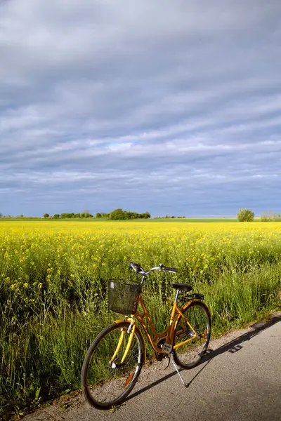 Rap sahasında bisiklet sürmek ve fırtınalı karanlık bir gökyüzü. Tarım. Skane, İsveç 2025. Yüksek kalite fotoğraf