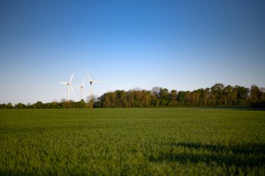 Rüzgar türbinleri, doğa ağaçları ve saha fotokopi alanı olan güzel bir yaz manzarası. Yüksek kalite fotoğraf
