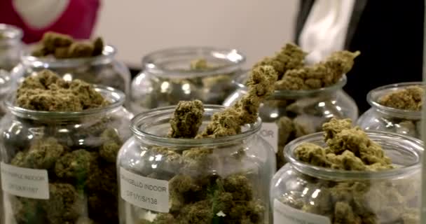 Closeup Glass Package Recreational Medicinal Herbs Legal Cannabis Sales Federal — Vídeo de stock