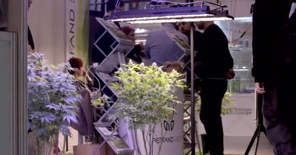Stå Med Belysningsutrustning Populära Internationella Cannabisbranschsevenemang Trädgårdsskötsel Växthus 2023 Letnany — Stockvideo