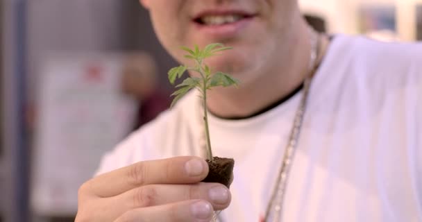 Close Small Green Plant Man Hands Planting Ground Cannabis Seedling — Vídeo de stock