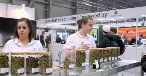 在展览会上 药用大麻的卖主把一包大麻交到买主手里 医疗用麻类产品的法律业务 2022年11月5日莱特纳尼 布拉格 — 图库视频影像