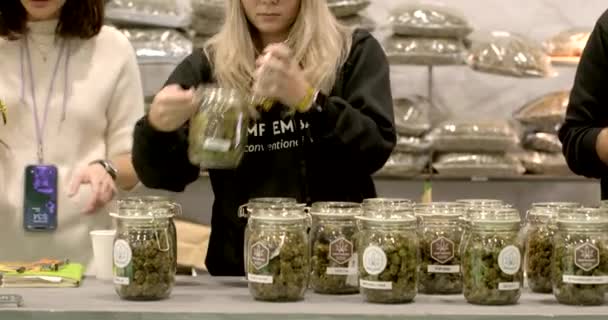 Woman Sniffs Dry Inflorescences Cbd Marijuana Glass Jars Process Choosing — Stock video