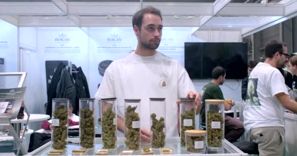 Seller Medicinal Marijuana Presents His Product Exhibition Legal Business Hemp — Stock Video