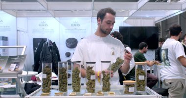 Seller of medicinal marijuana presents his product at an exhibition. Legal business of hemp products for medical purposes. 5.11.2022 Letnany, Prague, CZ 