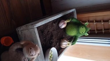 Planting onions in the spring. Stop motion. Happy family of little cute creatures doing gardening work in the home garden. 