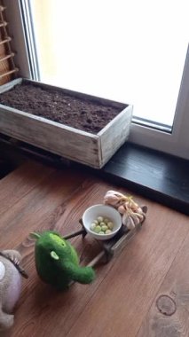 Planting onions in ground in spring. Little woolen toys came to life. Stop motion is animated filmmaking technique, objects are physically manipulated in small increments between photographed frames.