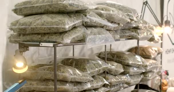 棚には大麻の袋がたくさんある 顧客を製品に引き付ける ビニール袋の運搬 — ストック動画