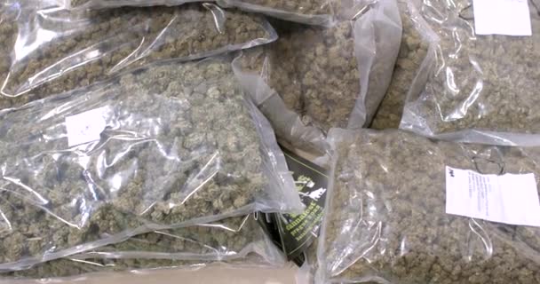 具有高质量批发Cbd产品的透明包装 药物大麻芽在药店 合法销售娱乐性杂草 — 图库视频影像