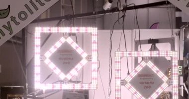 LED grow light technology to boost crop production at the International Fair of Cannabis and Medicinal Herbs. Lighting and heating system with lamps. 5.11.2023 Letnany, Prague, CZ 