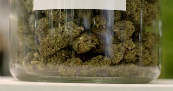 Крупный План Стеклянной Упаковки Лекарственными Бутонами Конопли Сухие Травы Подписаны — стоковое видео