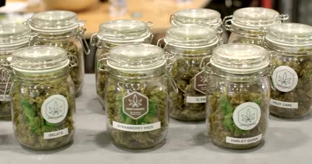 Primer Plano Del Envase Vidrio Con Cannabis Cbd Variedades Firmadas — Vídeo de stock
