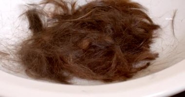 A hand puts scissors on cut hair on a white background. The end of the haircut, the accumulation of hair for processing into a wig. Preparation for the manufacture of artificial hair.