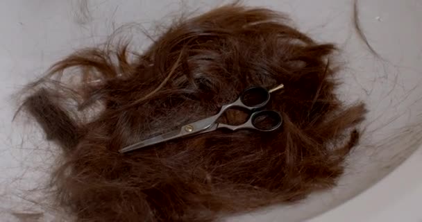 Długie Włosy Obcięte Nożyczkami Przed Służbą Wojskową Szczątki Długich Włosów — Wideo stockowe