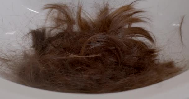 Μακριά Μαλλιά Ένα Μάτσο Κομμένες Μπούκλες Βρίσκονται Στο Νεροχύτη Χέρι — Αρχείο Βίντεο