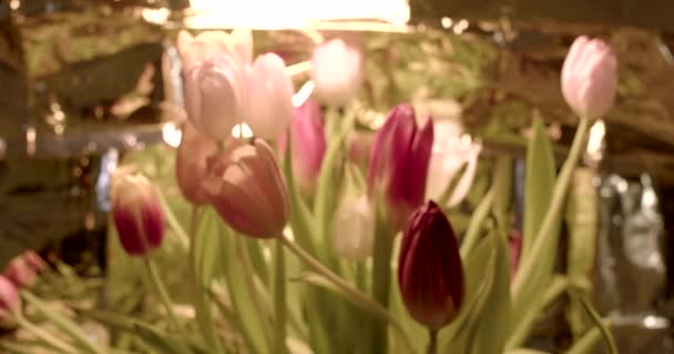晚上桌上放着一束郁金香 背景是金色的 花蕾开放 植物的绿叶 臭味难闻 是人类黏膜的过敏反应 — 图库视频影像