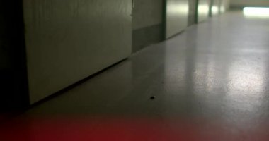 Köşedeki duvarda kapılar var. Yanıp sönen polis ışığı. Görev gücünün çalışma yeri bir suçtur. Göze çarpmayan yerlerde izler ve kanıtlar arayın..