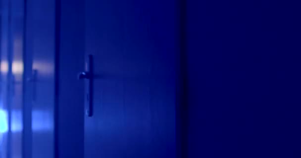 Door Locks Prison Flashing Light Blue Red Alarm Activation Camera — Stock Video