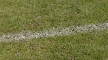 Çimenler daha soğuk yüzey alanının korunmasına yardımcı olur, sıcak havalarda daha rahat oynarlar. Yeşil alanlar doğal olarak çevreyi serinletir. Site sınır hattı.