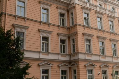 Önüne güzel bir ağaç dikilmiş ve manzarayı güzelleştiren ön cephesi boyunca birçok penceresi olan büyük ve etkileyici bir bina.