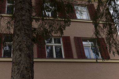 Canlı kırmızı panjurları olan büyüleyici bir bina var ve önünde gölgelik ve güzellik sağlayan yemyeşil bir ağaç var.