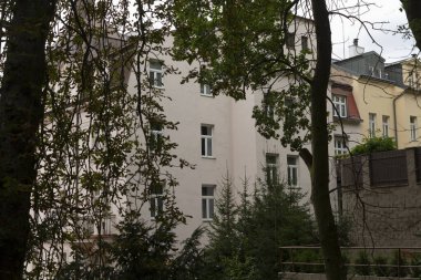 Önünde birkaç ağacın bulunduğu beyaz bir bina var. Tüm bölge için hoş ve huzurlu bir ortam yaratıyor.