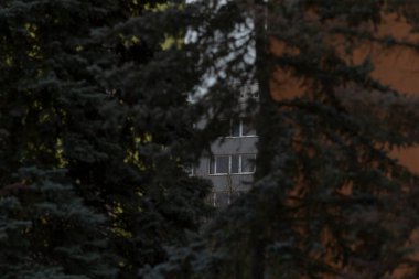 Belirsiz ve bulanık bir resim, kısmen yapraklı bir ağacın arkasına gizlenmiş bir binayı yakalar ve yapıyı şöyle bir gösterir: