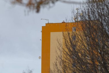 Arka planda canlı bir ağaç bulunan etkileyici bir yapıya sahip bir şehir binasının ayrıntılı bir yakın çekimi