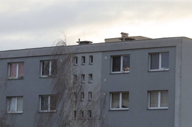 Çok sayıda penceresi olan büyük bir bina var ve tam önünde gölgelik bir ağaç duruyor.