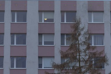 Binanın önünde çok sayıda pencerenin bulunduğu büyük bir yapı var ve buna uygun olarak bir ağaç da eşlik ediyor.