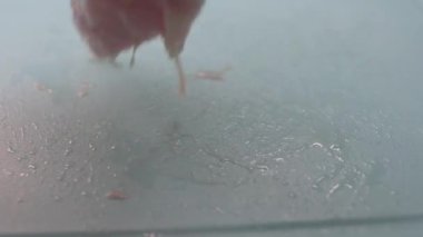 Çiğ tavuk eti, tahta kesme tahtası yüzeyine sıkıca bastırılıyor.