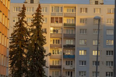 Balkonları ve uzun ağaçları olan çarpıcı bir apartman dairesi güzel bir günbatımı arka planına karşı.