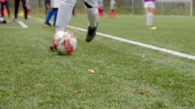 Oyuncular aktif olarak yeşil bir sahada, topa odaklanmış durumdalar, CZ, Svermov, 7.10.24