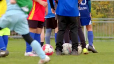 Canlı grup genç futbol oyuncuları sıkı antrenman yaptılar, canlı takım renklerini gururla sergilediler. Geniş bir saha CZ, Unhost, 10.10.24 'te farklı futbol topları uyguladılar.