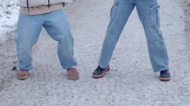 İki birey, karlı bir patikaya yakın bir şekilde yerleştirilmiştir. Her yer güzel kış manzaralarıyla süslenmiştir.