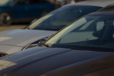 Büyük bir otoparkta düzgün bir şekilde yan yana park edilmiş, çeşitli araçlar sergilenmektedir.