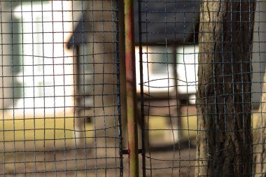 Ön planda belirgin bir şekilde görünen bir tel çit var, manzaranın pitoresk arka planında bereketli bir ağaç görülebilir.