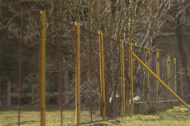 Arka planda ağaçlar var ve belirgin bir şekilde parlak sarı ve canlı kırmızı bir çit bu doğal ortama açıkça karşı duruyor.