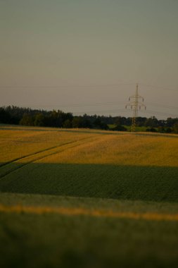 Bulanık bir görüntü, ufkun ötesindeki uzak arkaplanda görünen bir güç hattıyla karakterize edilen geniş bir alanı betimler.