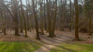 Bu video, bir kadın ve bir adamla birlikte huzurlu bir orman yolculuğu sergiliyor. Resimli bir yolda yürüyor, güzelliği ve huzuru vurguluyor.