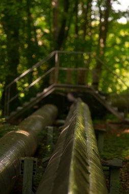 Merdiven döşeyen büyüleyici bir köprü var. Bu köprü, bereketli bir orman bölgesinin tam ortasında yer alan önemli bir boruya çıkıyor.