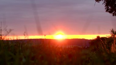 Durgun bir günbatımı, turuncu ve mor renklerle gökyüzünü aydınlatır. Siluetli ağaçlarla dolu sakin bir tarlanın üzerine ılık bir parıltı saçar.